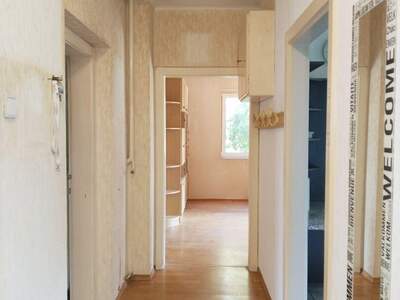 Haus mit Garten kaufen in 4060 Leonding (Bild 4)