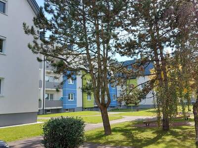 Wohnung mieten in 4303 St. Pantaleon