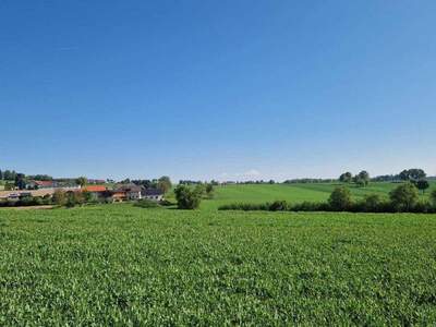 Grundstück kaufen in 4710 Pollham