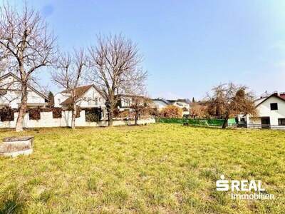 Grundstück kaufen in 4060 Leonding (Bild 4)