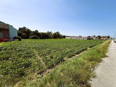 Gewerbeobjekt kaufen in 7400 Oberwart (Bild 4)