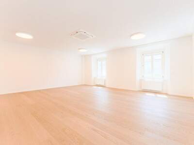 Gewerbeobjekt mieten in 8200 Gleisdorf (Bild 5)