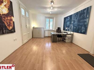 Gewerbeobjekt mieten in 2340 Mödling (Bild 2)