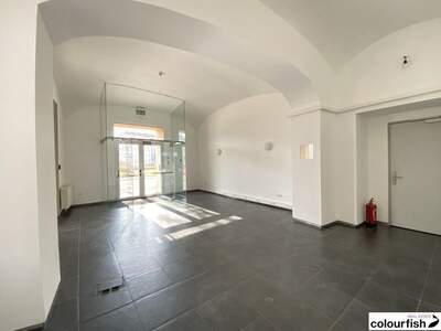Gewerbeobjekt mieten in 1020 Wien (Bild 4)