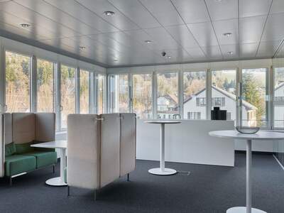 Gewerbeobjekt mieten in 6921 Kennelbach (Bild 5)