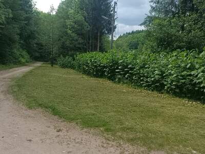 Grundstück kaufen in 9601 Hohenthurn (Bild 2)