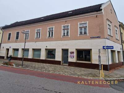 Anlageobjekt kaufen in 2620 Neunkirchen (Bild 1)