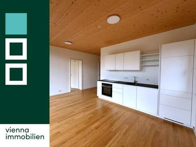 Terrassenwohnung mieten in 1120 Wien (Bild 1)