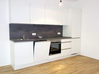 Wohnung mieten in 4600 Wels (Bild 3)