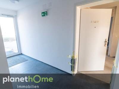 Terrassenwohnung kaufen in 2524 Teesdorf (Bild 4)