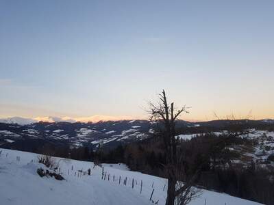 Grundstück kaufen in 8832 Oberwölz (Bild 1)