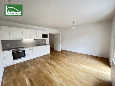 Terrassenwohnung mieten in 1120 Wien (Bild 2)