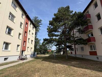 Wohnung kaufen in 2524 Teesdorf