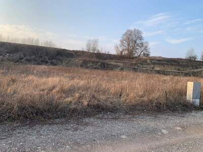 Gewerbeobjekt kaufen in 2002 Roseldorf