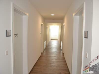 Büro / Praxis mieten in 2401 Fischamend (Bild 4)