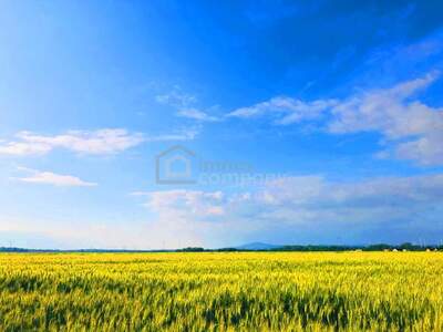 Gewerbeobjekt kaufen in 2424 Zurndorf