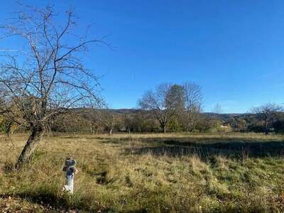 Grundstück kaufen in 2821 Lanzenkirchen