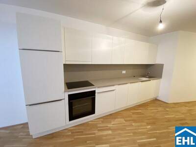 Terrassenwohnung mieten in 1100 Wien (Bild 2)