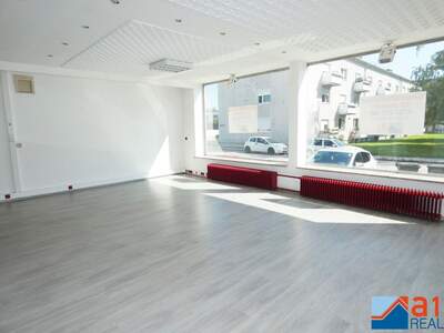 Gewerbeobjekt mieten in 4050 Traun (Bild 1)