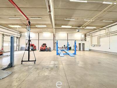 Gewerbeobjekt mieten in 2334 Vösendorf (Bild 4)