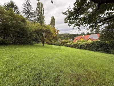 Grundstück kaufen in 2384 Breitenfurt (Bild 2)