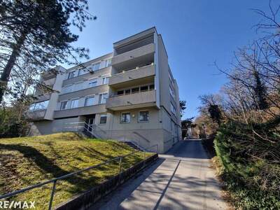 Wohnung mit Balkon kaufen in 2540 Bad Vöslau (Bild 1)