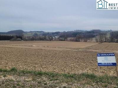 Grundstück kaufen in 8261 Sinabelkirchen (Bild 3)