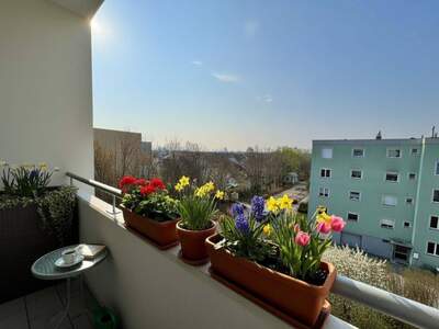 Wohnung kaufen in 2353 Guntramsdorf