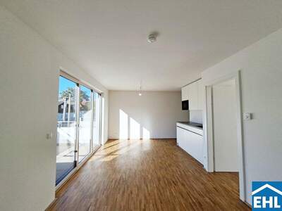 Terrassenwohnung mieten in 1220 Wien (Bild 2)