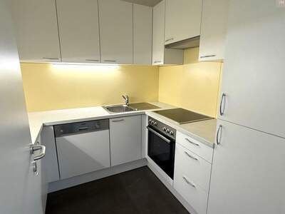 Gewerbeobjekt mieten in 1190 Wien (Bild 5)