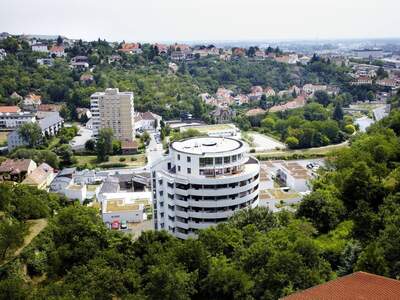 Wohnung mieten in 3500 Krems