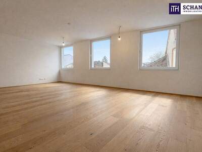 Terrassenwohnung kaufen in 2514 Traiskirchen (Bild 2)