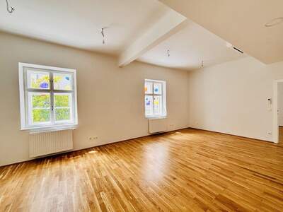 Gewerbeobjekt mieten in 2700 Wiener Neustadt (Bild 5)