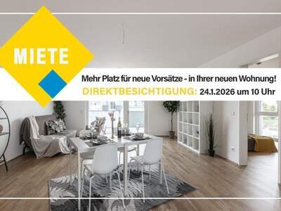 Public Housing mieten in 2326 Niederösterreich