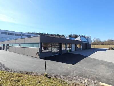 Gewerbeobjekt mieten in 8200 Gleisdorf (Bild 2)