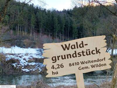Grundstück kaufen in 8410 Weitendorf (Bild 1)