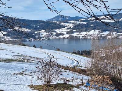 Grundstück kaufen in 4853 Steinbach