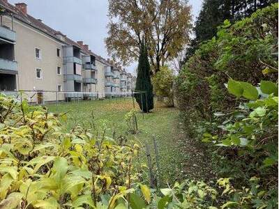 Wohnung mieten in 4020 Linz (Bild 3)