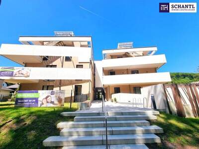 Terrassenwohnung kaufen in 2391 Kaltenleutgeben (Bild 5)