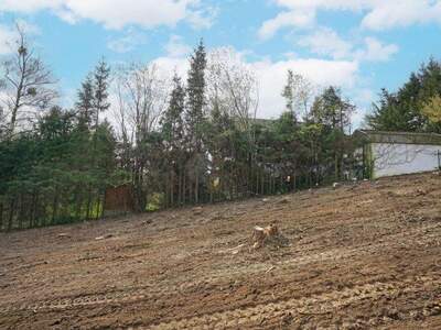 Grundstück kaufen in 3031 Rekawinkel (Bild 5)