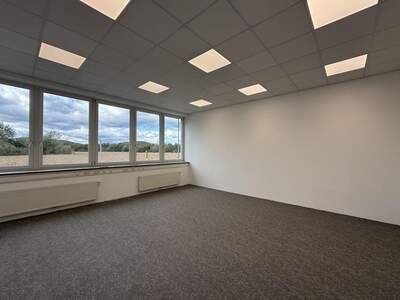 Gewerbeobjekt mieten in 8200 Gleisdorf (Bild 4)