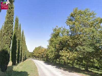 Gewerbeobjekt kaufen in 47032 Bertinoro (Bild 5)