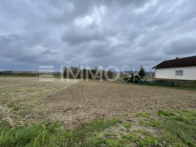 Grundstück kaufen in 3452 Atzenbrugg (Bild 2)