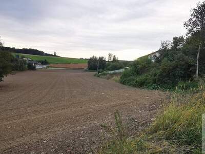 Grundstück kaufen in 4672 Wels Land