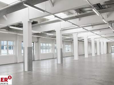 Halle / Lager / Produktion mieten in 4053 Haid