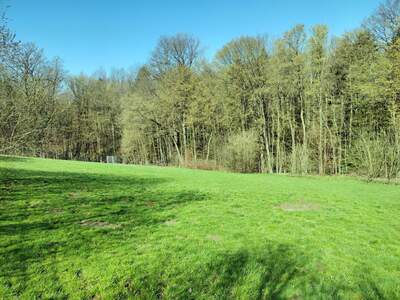 Grundstück kaufen in 3033 Altlengbach (Bild 3)