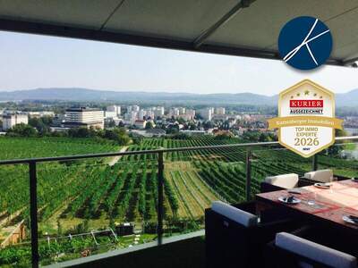 Terrassenwohnung mieten in 3500 Krems (Bild 2)