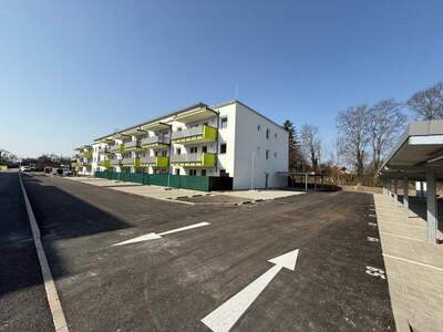 Terrassenwohnung kaufen in 2442 Unterwaltersdorf (Bild 1)