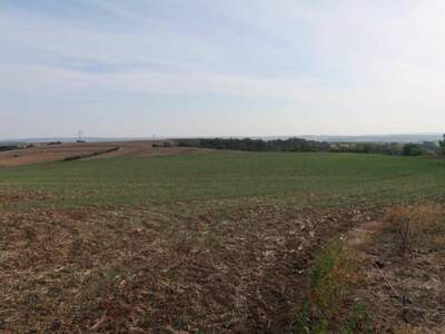 Gewerbeobjekt kaufen in 2191 Höbersbrunn