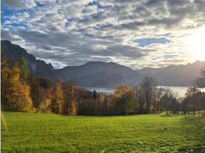 Terrassenwohnung mieten in 4853 Steinbach (Bild 5)